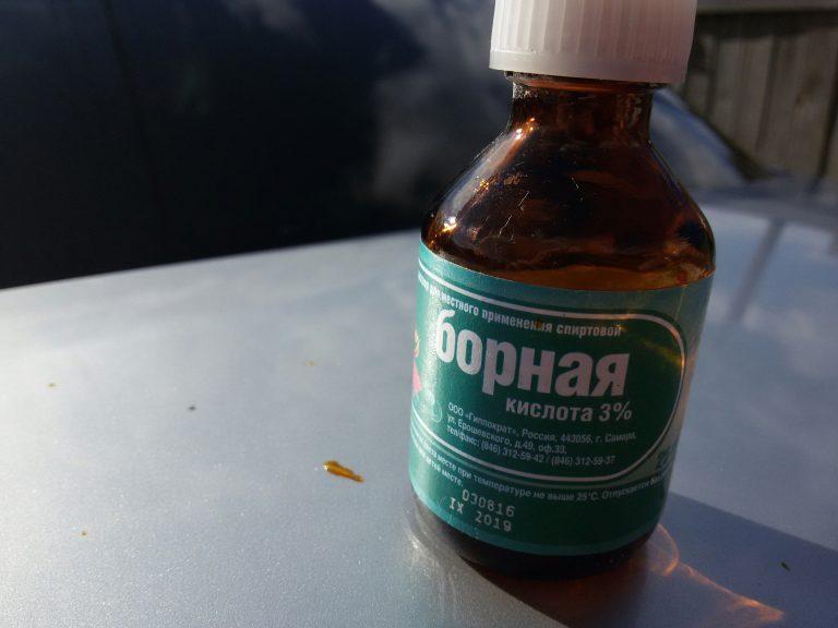 Чем обработать погреб или подвал от плесени