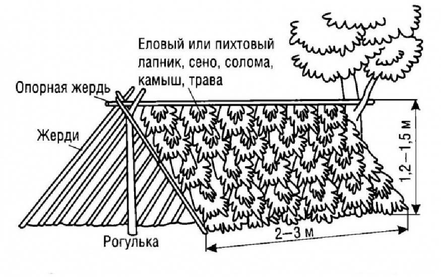 Как построить шалаш в лесу своими руками