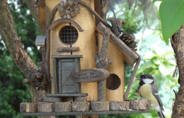 Как сделать синичник своими руками: чертежи, фото, размеры