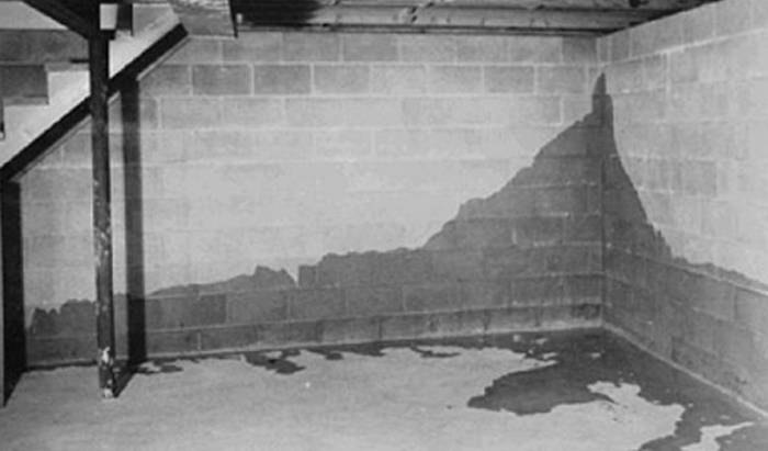 Погреб для хранения овощей и банок: как обустроить своими руками, фото