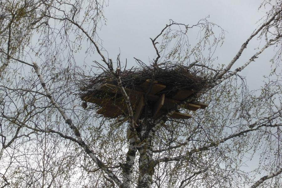 Как самим сделать гнездо для аиста на даче: из искусственного ротанга, веток