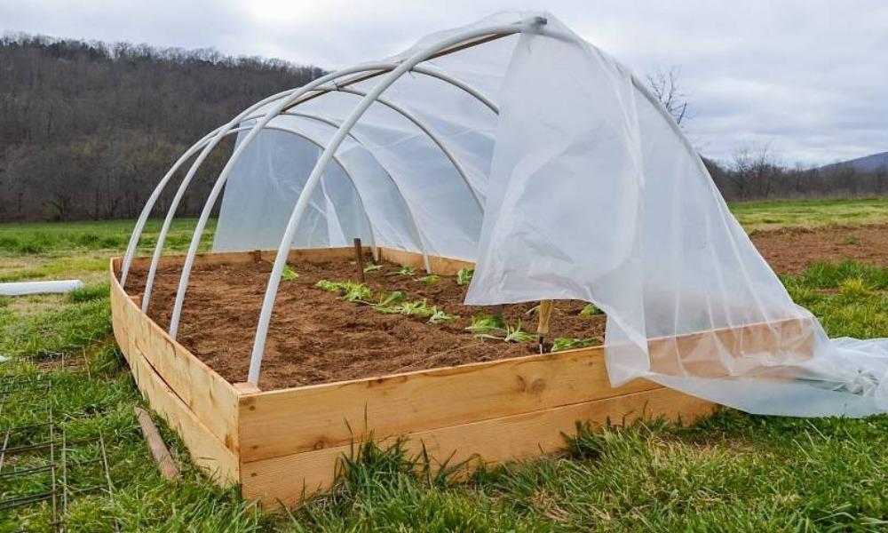 Теплица из стеклопластиковой арматуры своими руками: чертежи, размеры, как сделать