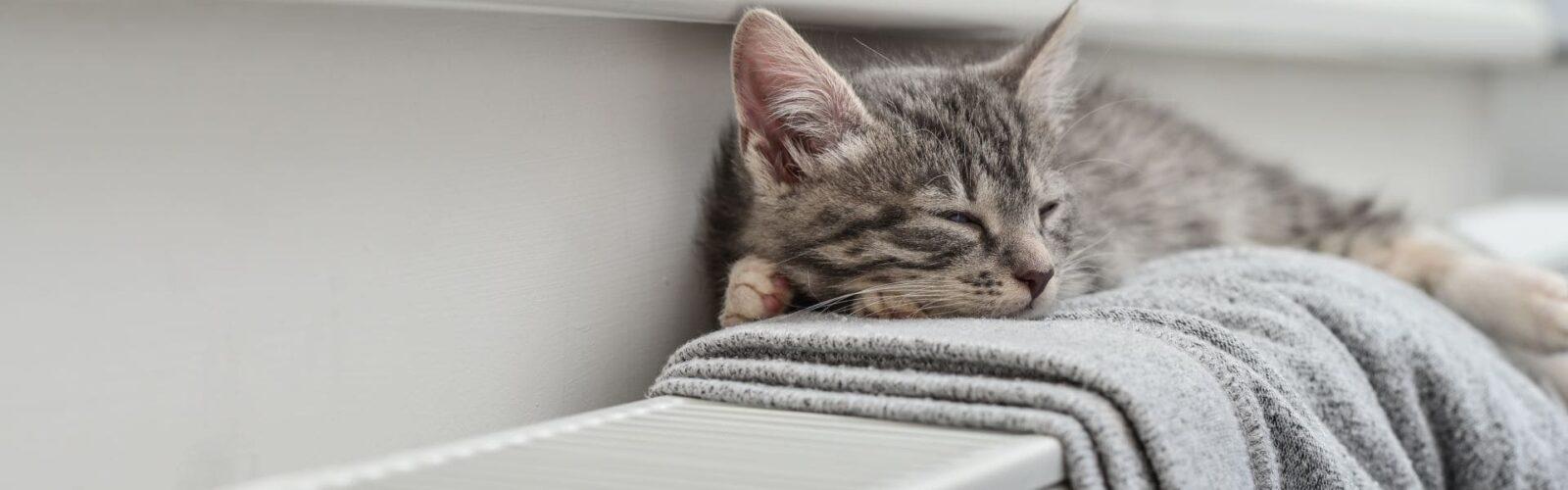 Чугунные батареи или алюминиевые радиаторы: что лучше, как сделать выбор