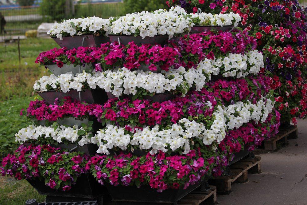 Вертикальные клумбы своими руками из подручных средств: фото, цветник из сетки, трубы, покрышек