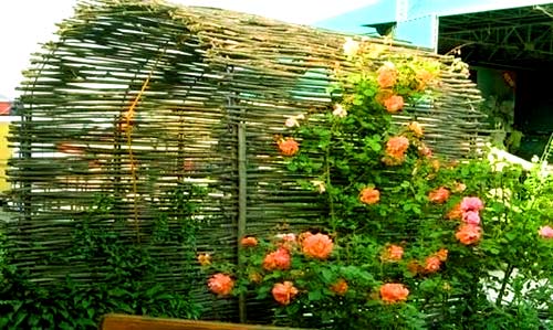 Плетень для клумбы своими руками: фото, как сплести ограждения из лозы, прутьев, досок, дерева