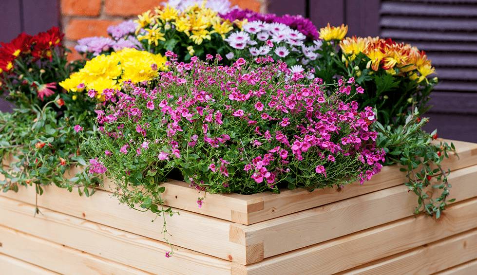Декоративная клумба из дерева своими руками: фото, как сделать из брусков, обрезков досок, чертежи, идеи на даче