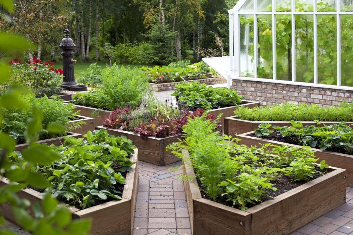 Французские грядки на даче своими руками: фото, дизайн