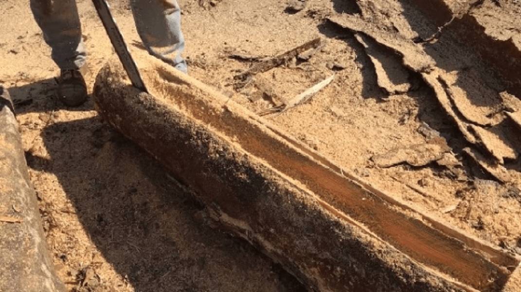 Клумбы из бревен своими руками: фото, оформление, как сделать цветник на дачном участке