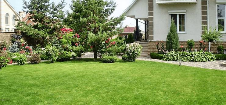 Как правильно собрать и установить каркасный бассейн на даче