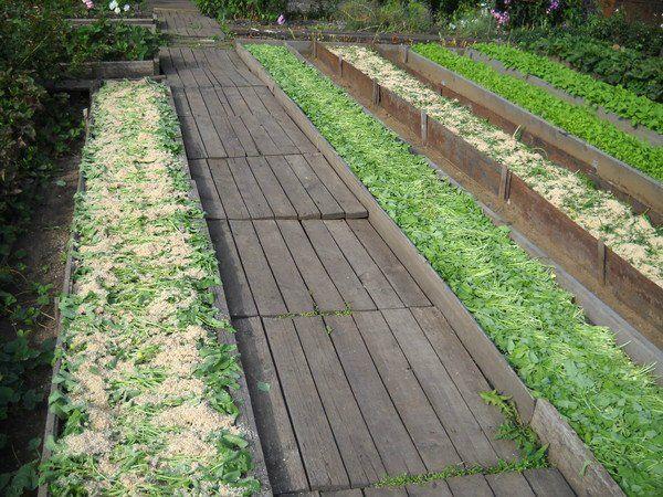 Из чего сделать дорожки между грядками в огороде: материалы и чем засыпать своими руками