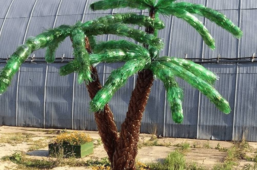 Пальма из пластиковых бутылок своими руками: фото + пошаговый мастер-класс