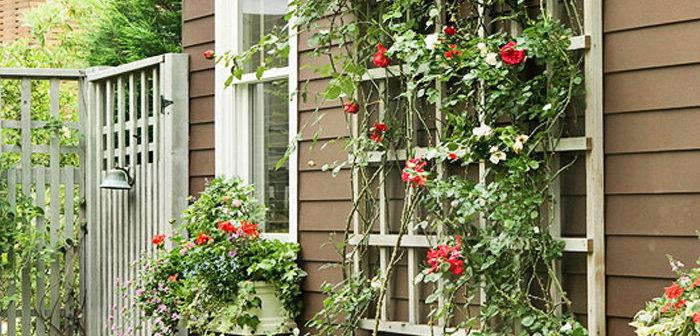 Опоры для плетистых роз своими руками: фото, виды