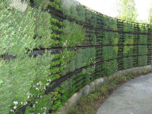 Вертикальные грядки на даче своими руками для овощей и зелени: фото, как сделать из дерева, поддонов