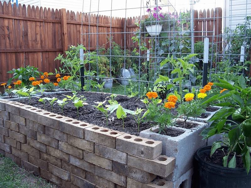 Клумбы из блоков своими руками: фото, как сделать из шлакоблоков, бетонных, строительных и пеноблоков