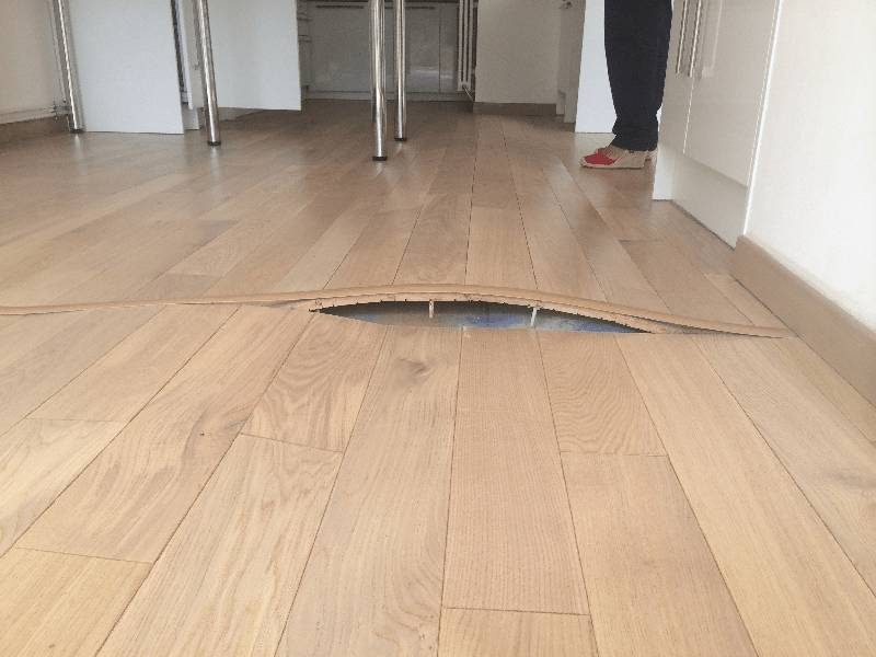 Ламинат: почему скрипит, как отремонтировать без разборки