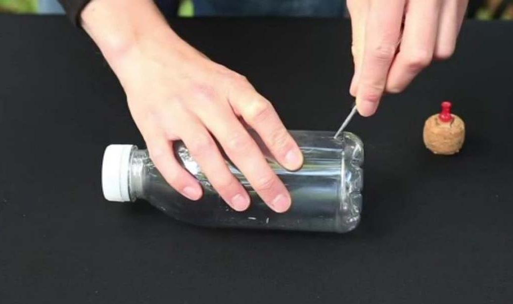 Кормушка для птиц из бутылки: 5 литров, 2 литра и 1 литр