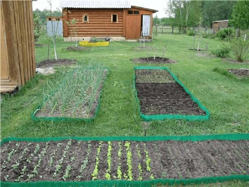 Грядки из бордюрной ленты: фото, как сделать, установка