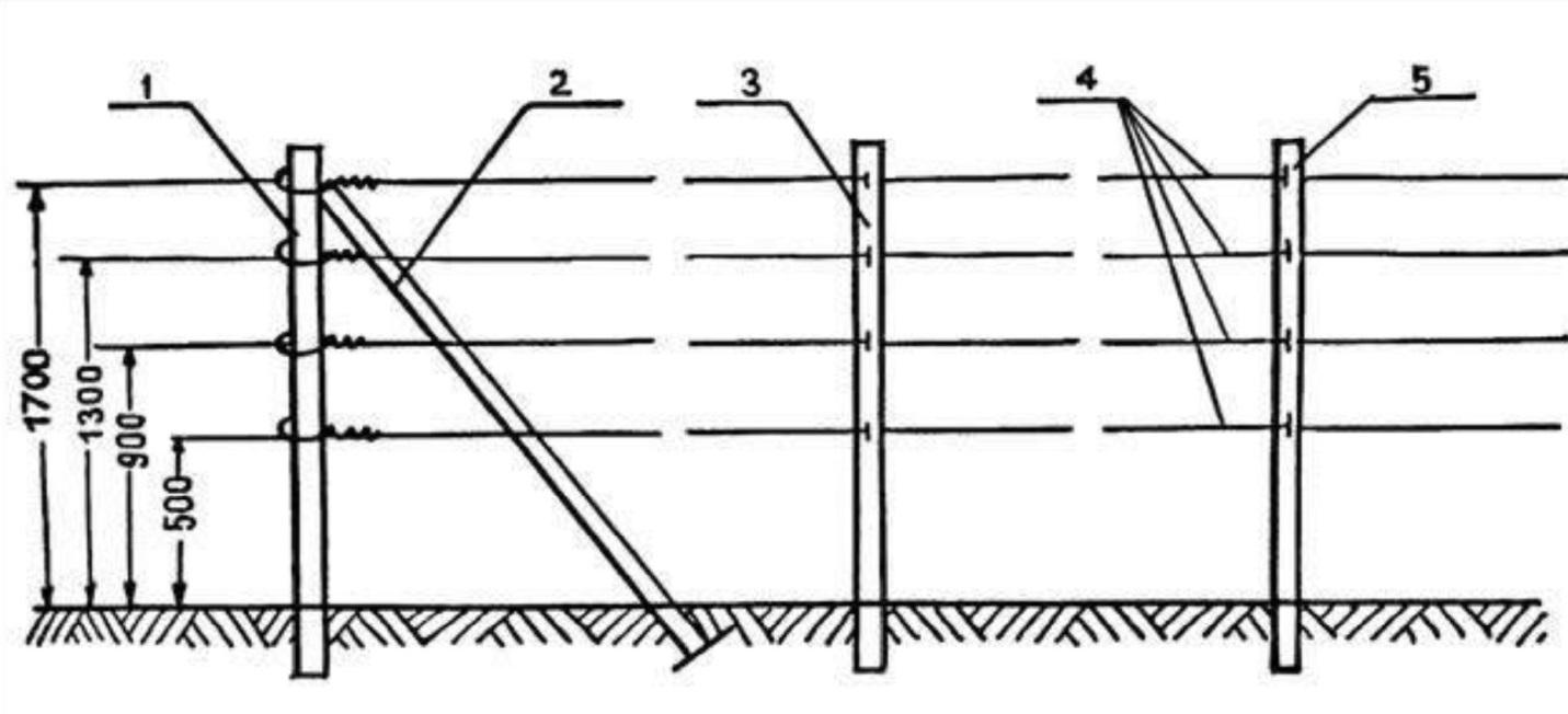 Опора для ежевики своими руками