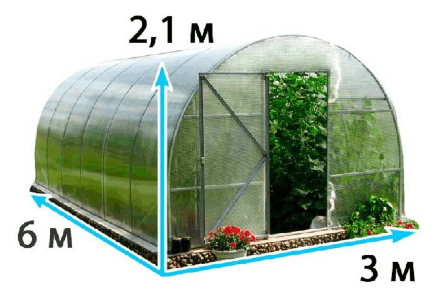 Расположение грядок в теплице 3х6: как устроить, планировка