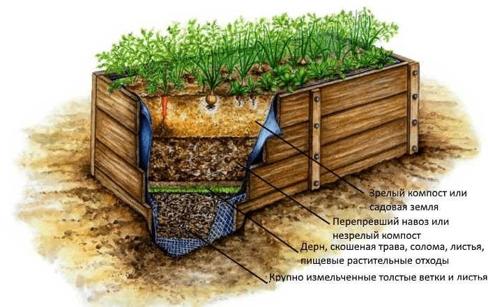 Как сделать теплую грядку осенью, весной своими руками: фото, видео