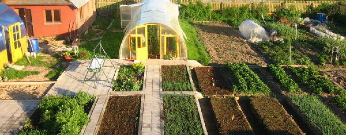 Французские грядки на даче своими руками: фото, дизайн