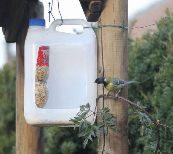 Как сделать кормушку для птиц из канистры