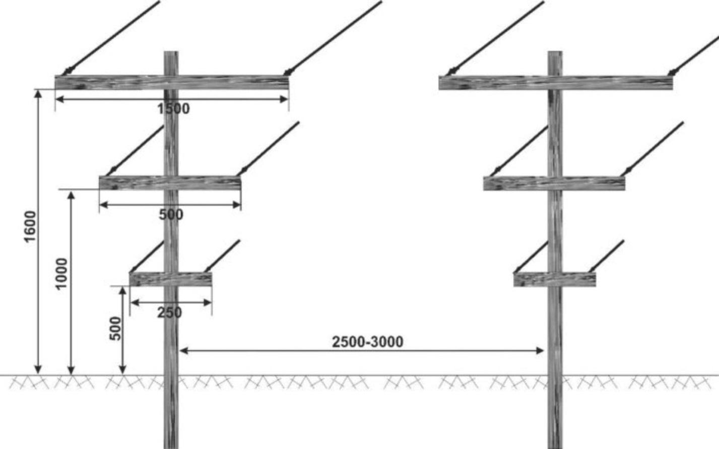 Опора для ежевики своими руками