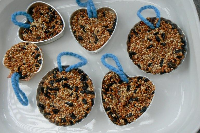 Съедобная кормушка для птиц своими руками: из зерна, желатина и тыквы