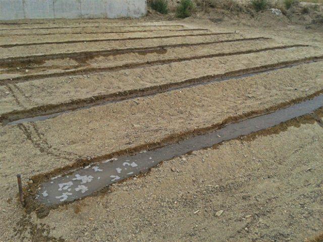 Огород по Митлайдеру: с чего начать, как сделать узкие грядки по-русски