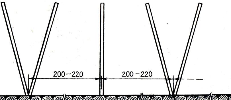 Шпалеры для малины своими руками: чертежи, пошаговая инструкция