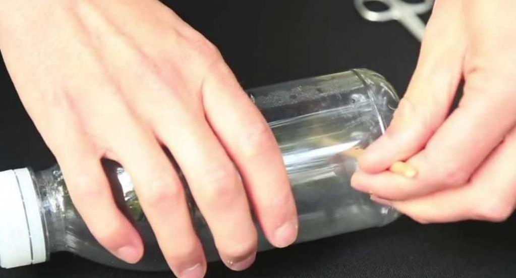 Кормушка для птиц из бутылки: 5 литров, 2 литра и 1 литр