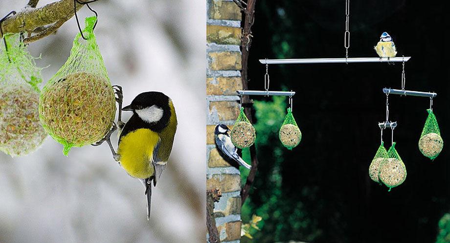 Кормушка для птиц на окно на присосках: как сделать своими руками