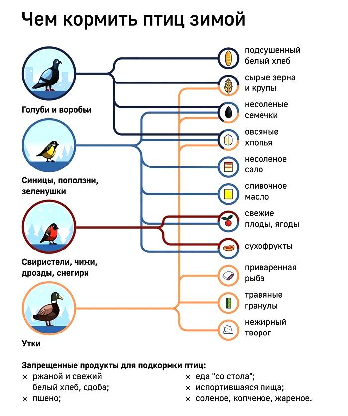 Кормушка для птиц из коробки своими руками: пошаговые инструкции