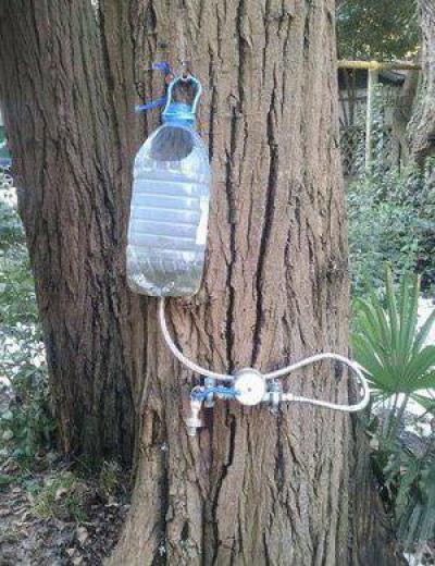 Как сделать умывальник из 5-литровой пластиковой бутылки своими руками