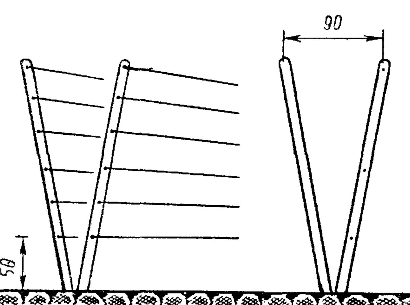 Опора для ежевики своими руками