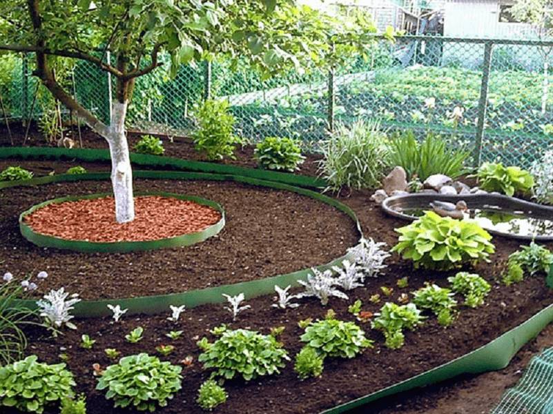 Грядки из бордюрной ленты: фото, как сделать, установка