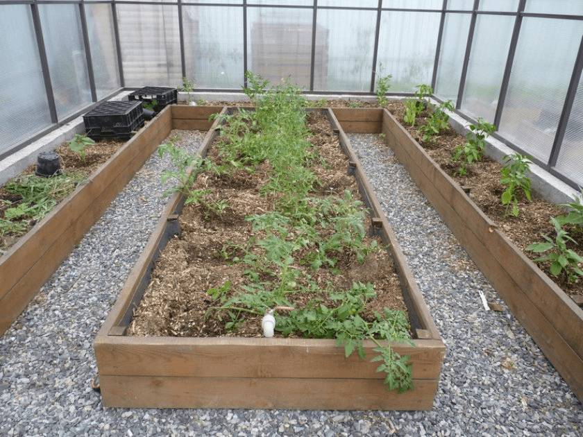 Как сделать дорожку в теплице между грядками своими руками