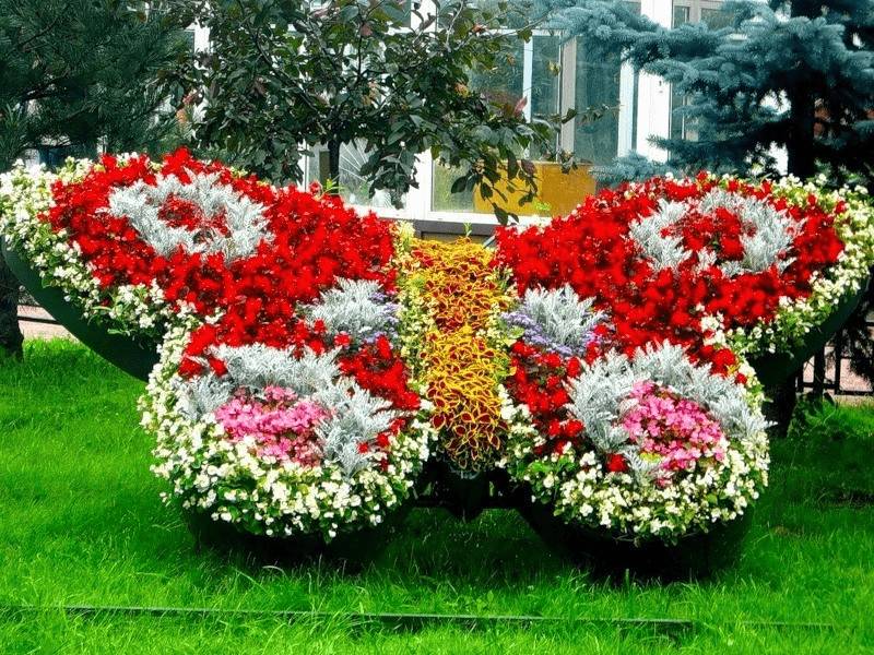 Клумба в виде бабочки своими руками: фото, как сделать из металла, бордюрной ленты, покрышек