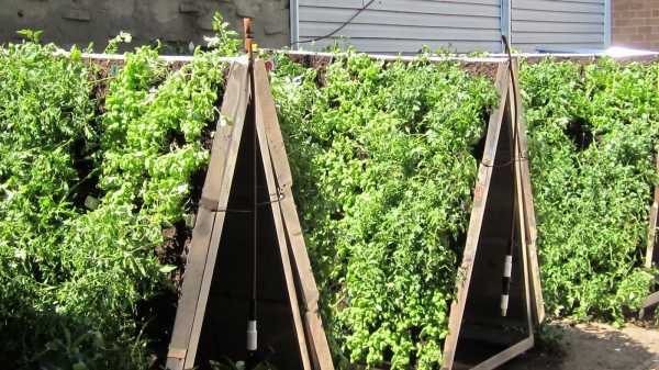 Грядка для помидоров своими руками в открытом грунте и в теплице + фото