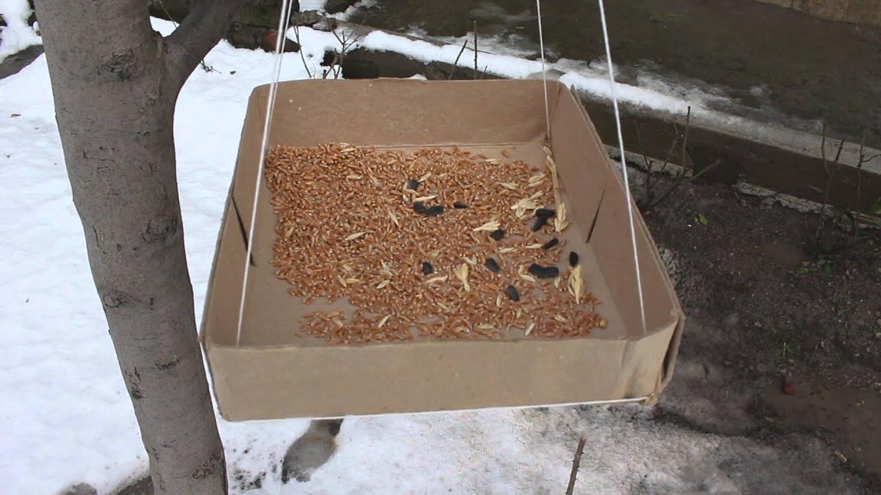 Кормушка для птиц из коробки своими руками: пошаговые инструкции