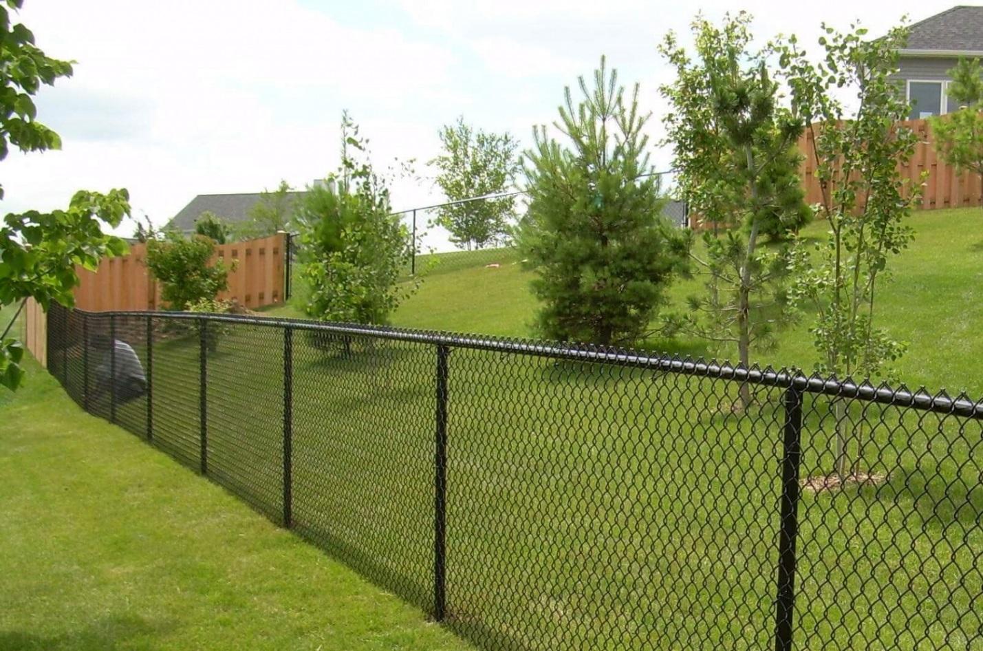 Как правильно подвязывать горох на грядке в открытом грунте