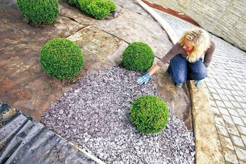 Клумбы своими руками со щебнем: отсыпка гравием, цветной щебенкой и фото