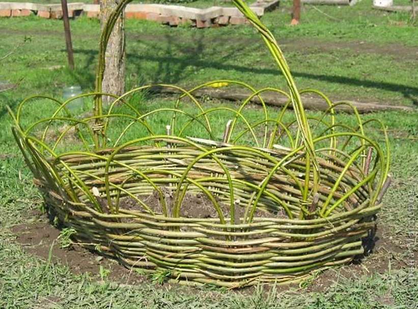 Плетень для клумбы своими руками: фото, как сплести ограждения из лозы, прутьев, досок, дерева