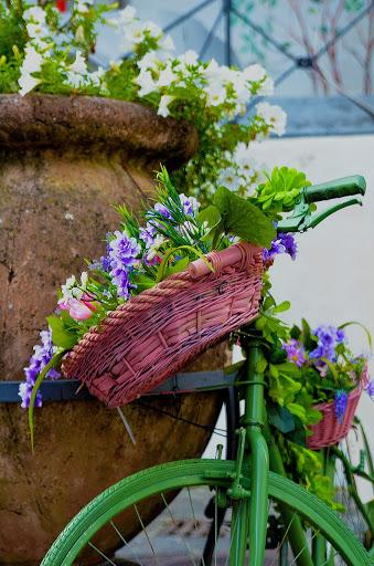Как сделать цветник из велосипеда для дачи: фото, советы, идеи оформления
