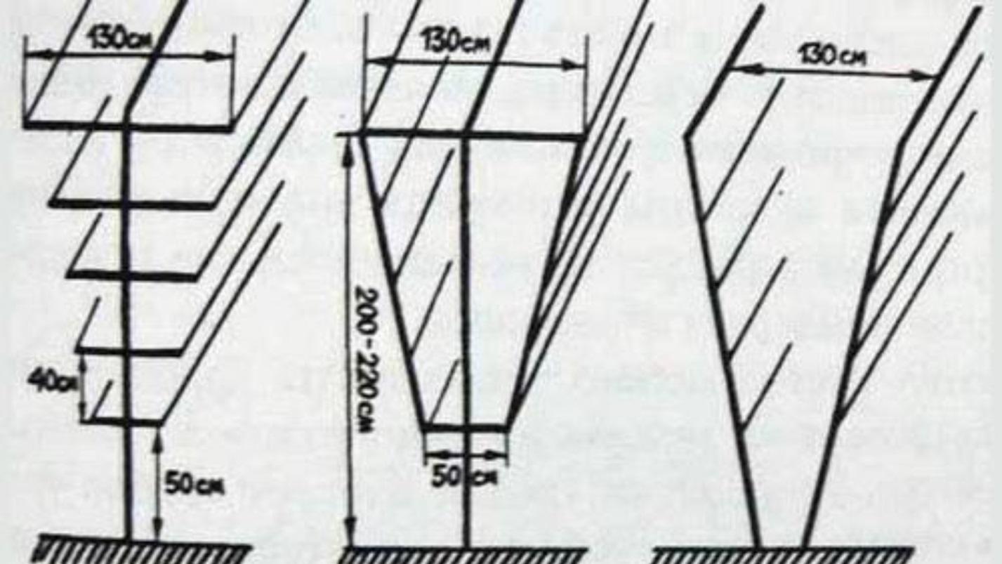 Опора для ежевики своими руками
