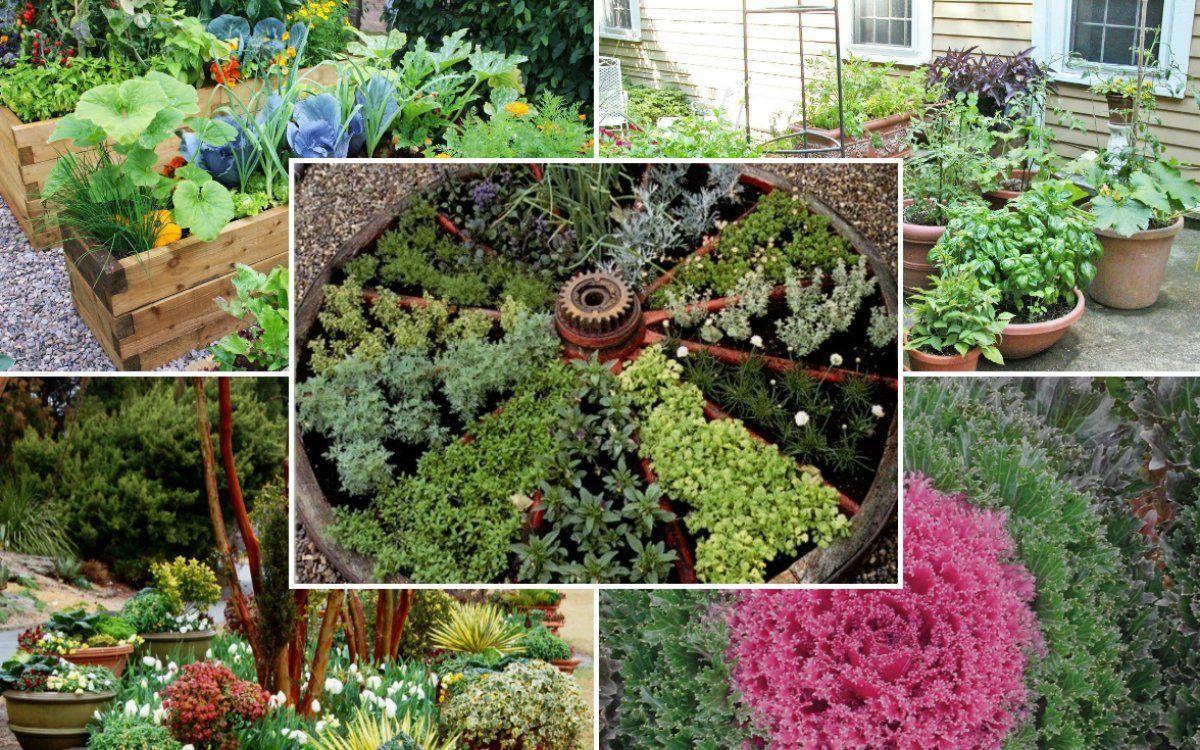 Французские грядки на даче своими руками: фото, дизайн