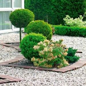 Клумбы своими руками со щебнем: отсыпка гравием, цветной щебенкой и фото