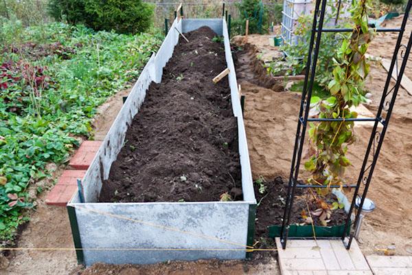 Грядки из шифера своими руками: плоского, волнового, фото + идеи по оформлению