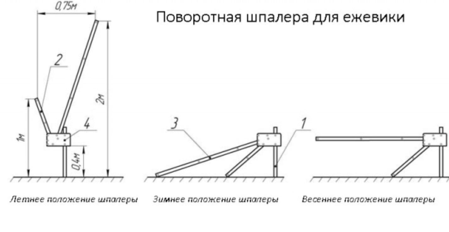 Опора для ежевики своими руками