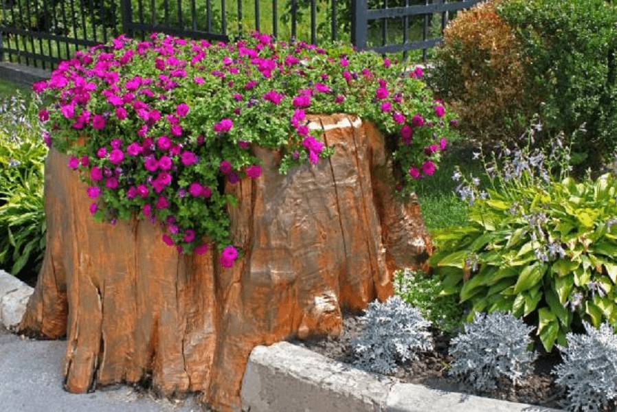 Клумбы из пеньков своими руками: фото, как сделать из дерева, спилов, бревен, сочетание с камнями